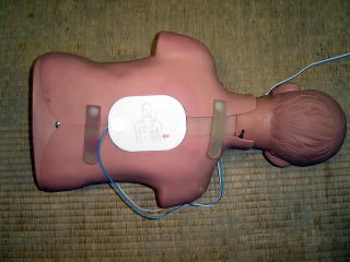AED使用方法の画像3