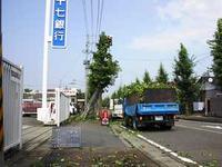 樹木の剪定及び団地法面の草刈業務についての画像