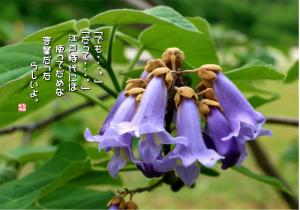桐