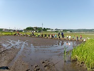 田植え写真1