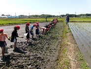 田植え写真2