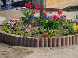 4月花植え画像1