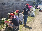4月花植え画像2