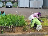 6月ガーデニング5