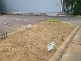 6月ガーデニング6