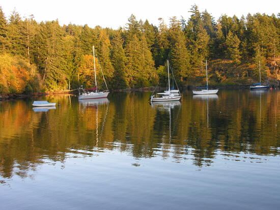 Boats in cove autumn