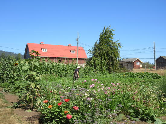 Farmの画像