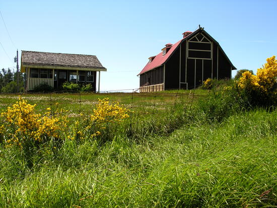 Woodside barnの画像