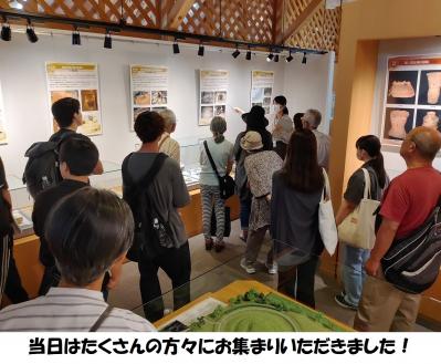 横穴墓わーるど③