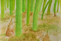 愛島の竹の画像