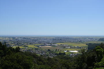 調査の概要の画像
