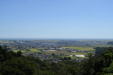 調査の概要の画像