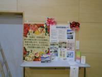 展示7