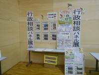 展示9