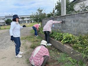 9月の草取りの様子