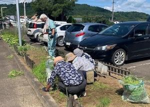 7月の草取りの写真