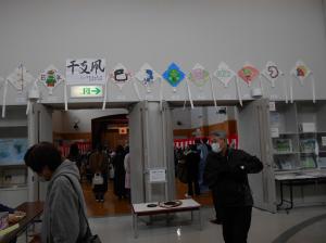 展示20