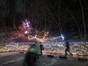 那智が丘公民館イルミネーション1
