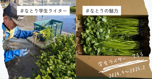 note見出し