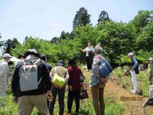 熊野那智神社経塚群発掘報告会現地1