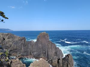 海