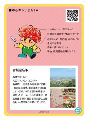 カード裏