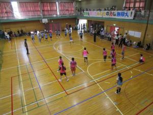 ドッヂビー写真3