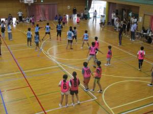 ドッヂビー写真