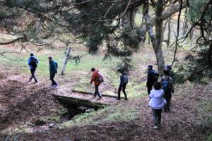 トレイルコース視察２