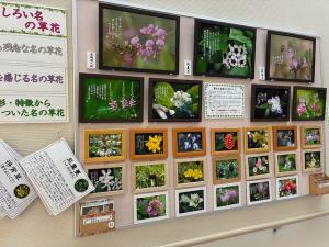 なおかつフォトエッセイ2