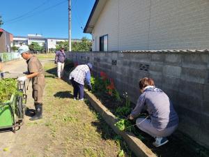 ガーデニングボランティア写真