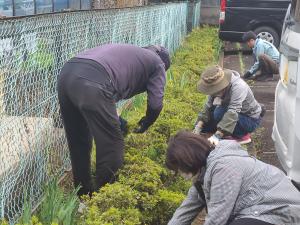 ガーデニングボランティア写真