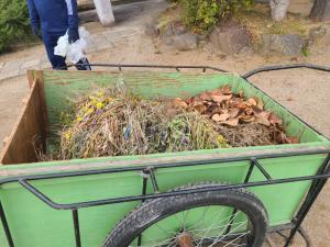 ガーデニングボランティア写真