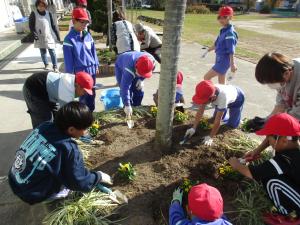 花植え活動