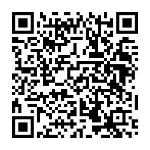 野鳥観察申し込み