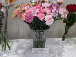 カーネーション