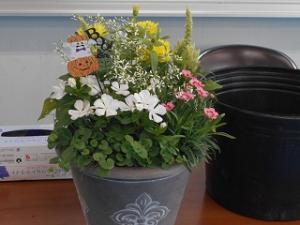 生活向上セミナー