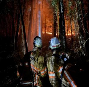 活動写真になります。