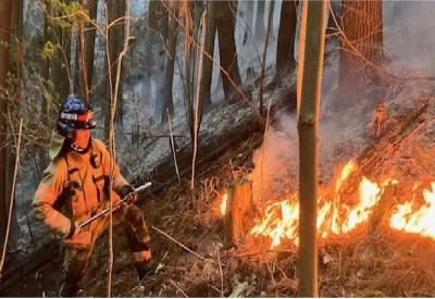 活動写真になります。