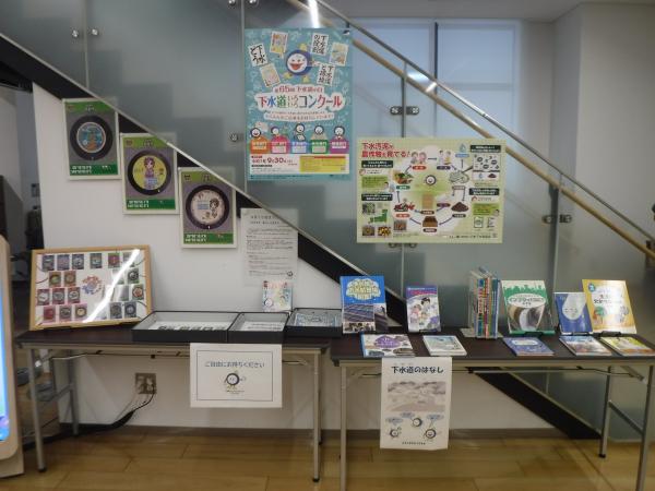 展示の様子