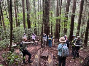 登山道観察会の様子2