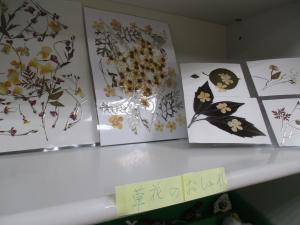 荷造りひもで作った押し花の写真