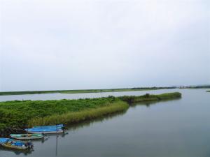 現在の広浦の様子