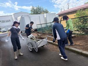 草取り