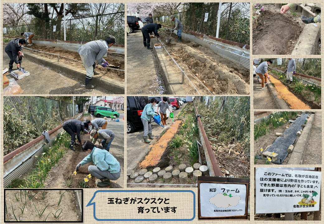 空地活用の画像1