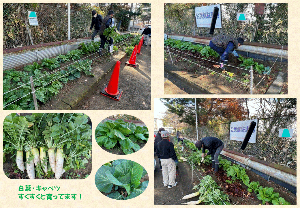 空地活用の画像5