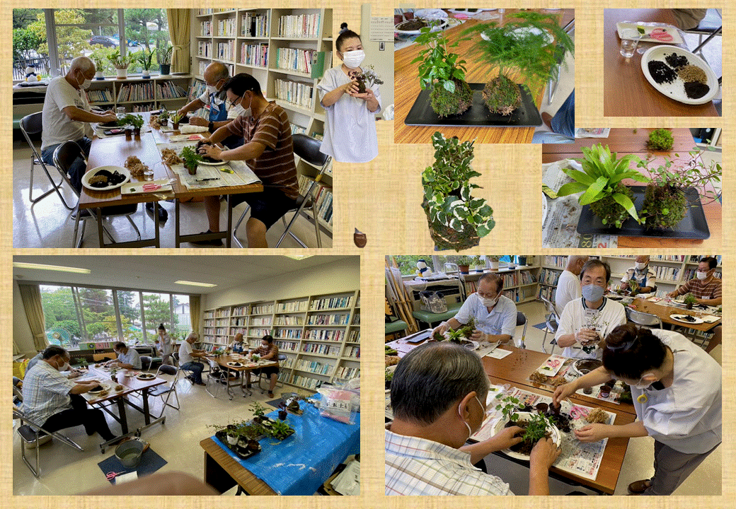 第2回　苔玉づくりの画像