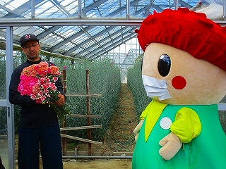 シリーズ1　カーネーション編の画像