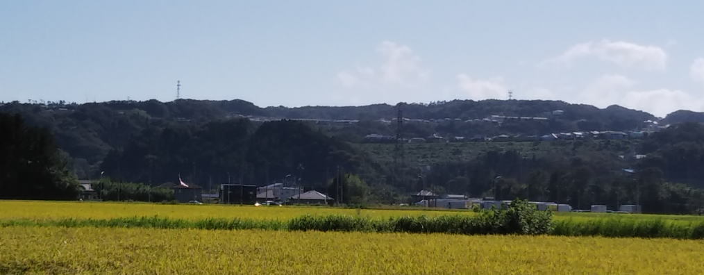 ゆりが丘・みどり台地区の概要の画像1