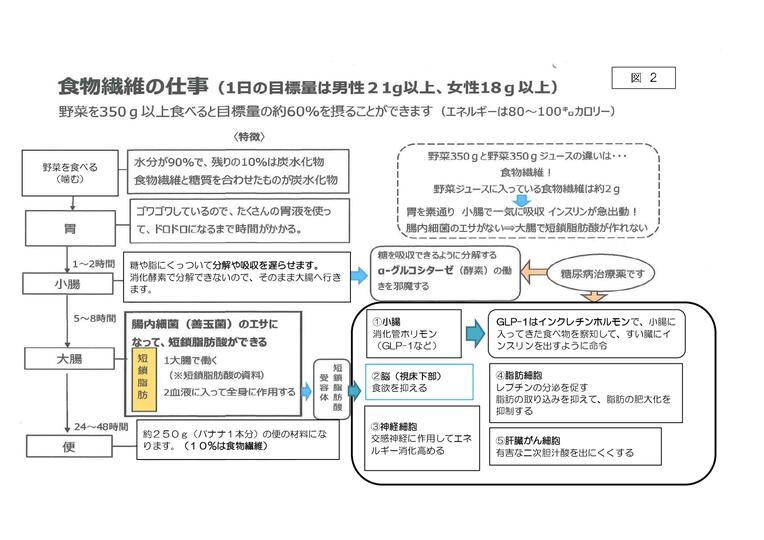 食物繊維の仕事（修正）の画像